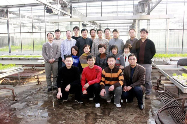 “Plant Doctor” Team of Sinochem International